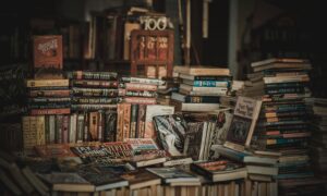 A cozy indoor bookstore with stacked bookshelves filled with novels and literature.